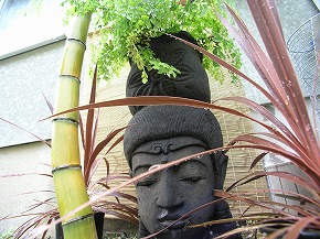 �A�W�A�����]�[�g�뉀�{�H��F6