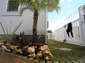 �A�W�A�����]�[�g�뉀�{�H��F8