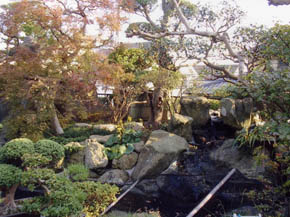 �a���뉀�{�H��F15