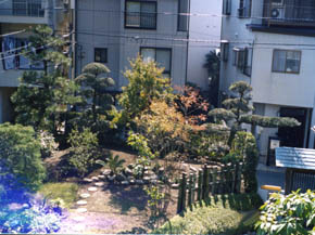 �a���뉀�{�H��F16