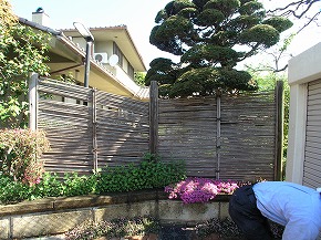 �a���뉀�{�H��F21