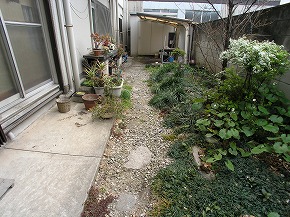 �a���뉀�{�H��F25