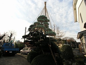 �a���뉀�{�H��F4