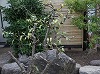 和風庭園施工例：石のある庭3