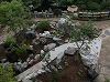 和風庭園施工例：石のある庭6