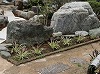 和風庭園施工後：石のある庭-10