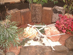 �V�a���뉀�{�H��F1