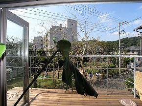 �V�a���뉀�{�H��F20