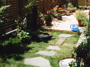 �V�a���뉀�{�H��F26