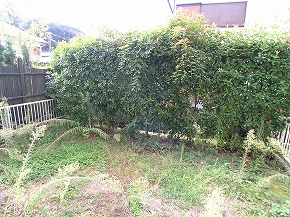 �V�a���뉀�{�H��F28