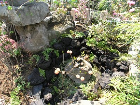 �V�a���뉀�{�H��F9