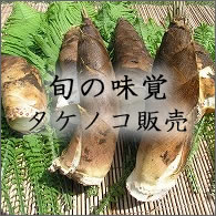 �{�̖��o�@⡔̔�